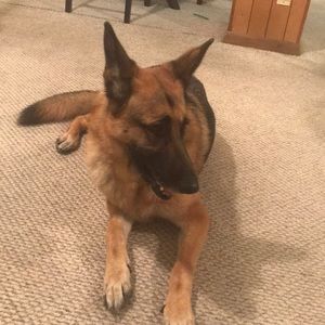 Meet your Posher, Toshia